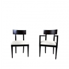 Exotic Arm Chair